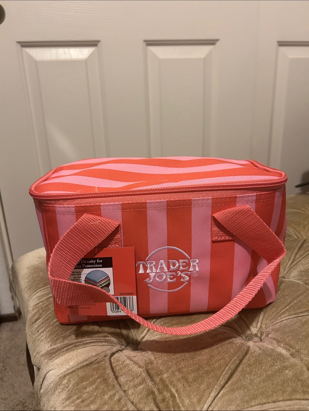 Trader Joe’s Mini Insulated Lunch Bag